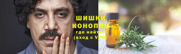 молекула духа Бородино