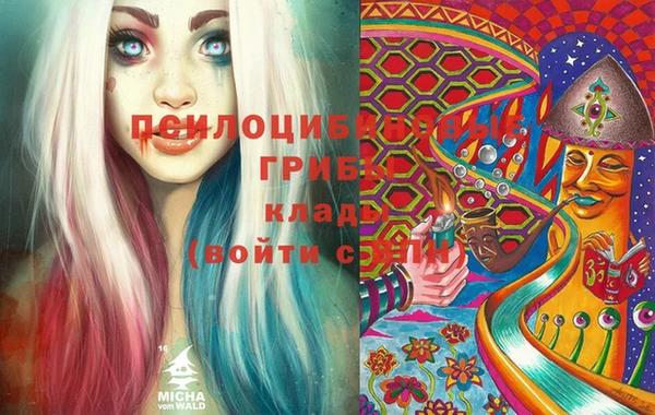 стафф Бронницы
