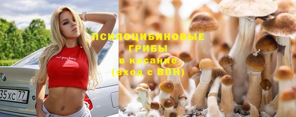 дурь Верхний Тагил