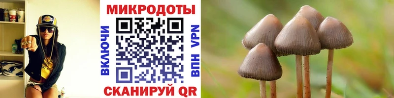 Галлюциногенные грибы Psilocybine cubensis  Прокопьевск 